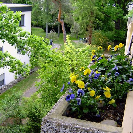 Appartementhaus Im Gruen Bad Bellingen Buitenkant foto